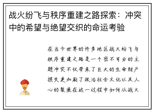 战火纷飞与秩序重建之路探索：冲突中的希望与绝望交织的命运考验